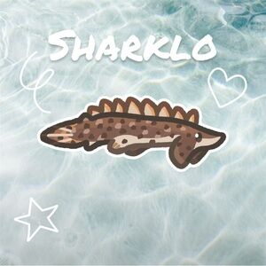 Cute Saddled Bichir Matte Sticker-High-Quality Vinyl Decal for Laptops Notebooks